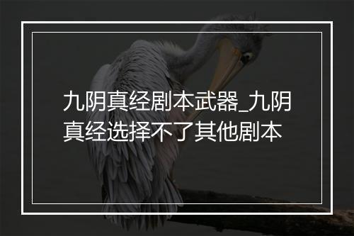 九阴真经剧本武器_九阴真经选择不了其他剧本