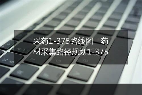 采药1-375路线图　药材采集路径规划1-375