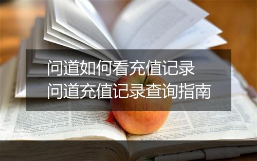 问道如何看充值记录　问道充值记录查询指南
