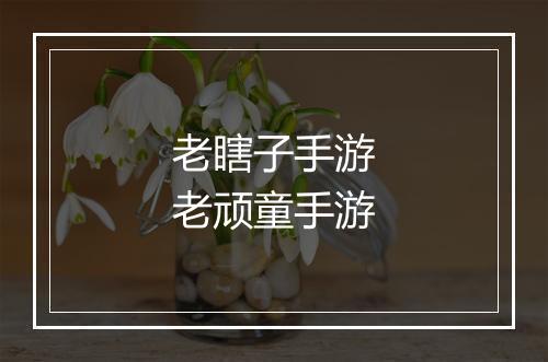 老瞎子手游　老顽童手游