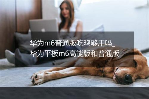 华为m6普通版吃鸡够用吗_华为平板m6高能版和普通版