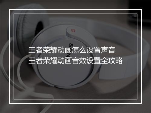 王者荣耀动画怎么设置声音　王者荣耀动画音效设置全攻略