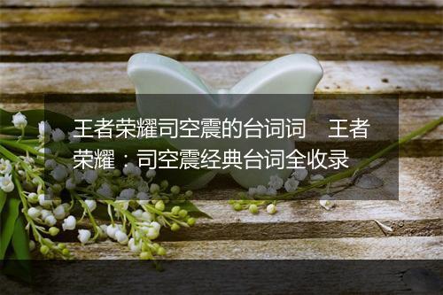 王者荣耀司空震的台词词　王者荣耀：司空震经典台词全收录